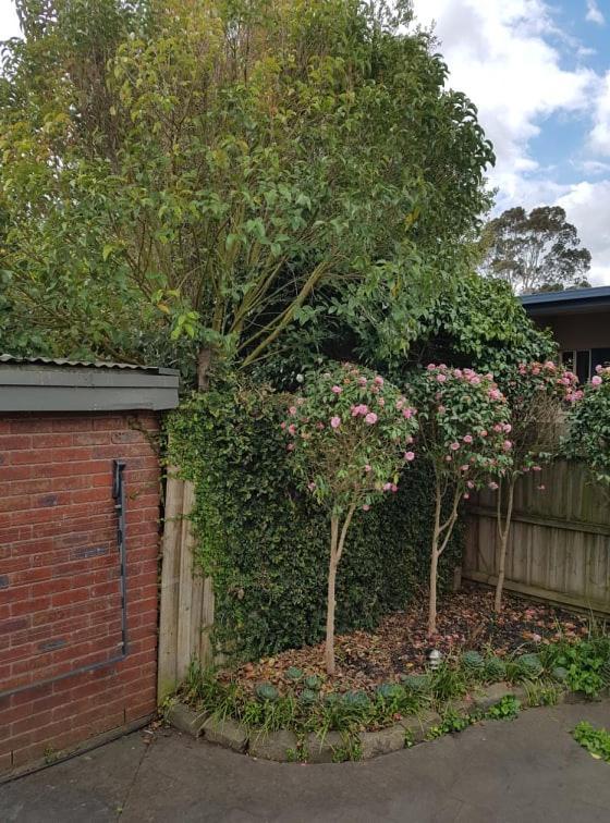 Creek Cottage Bed And Breakfast Traralgon Eksteriør bilde