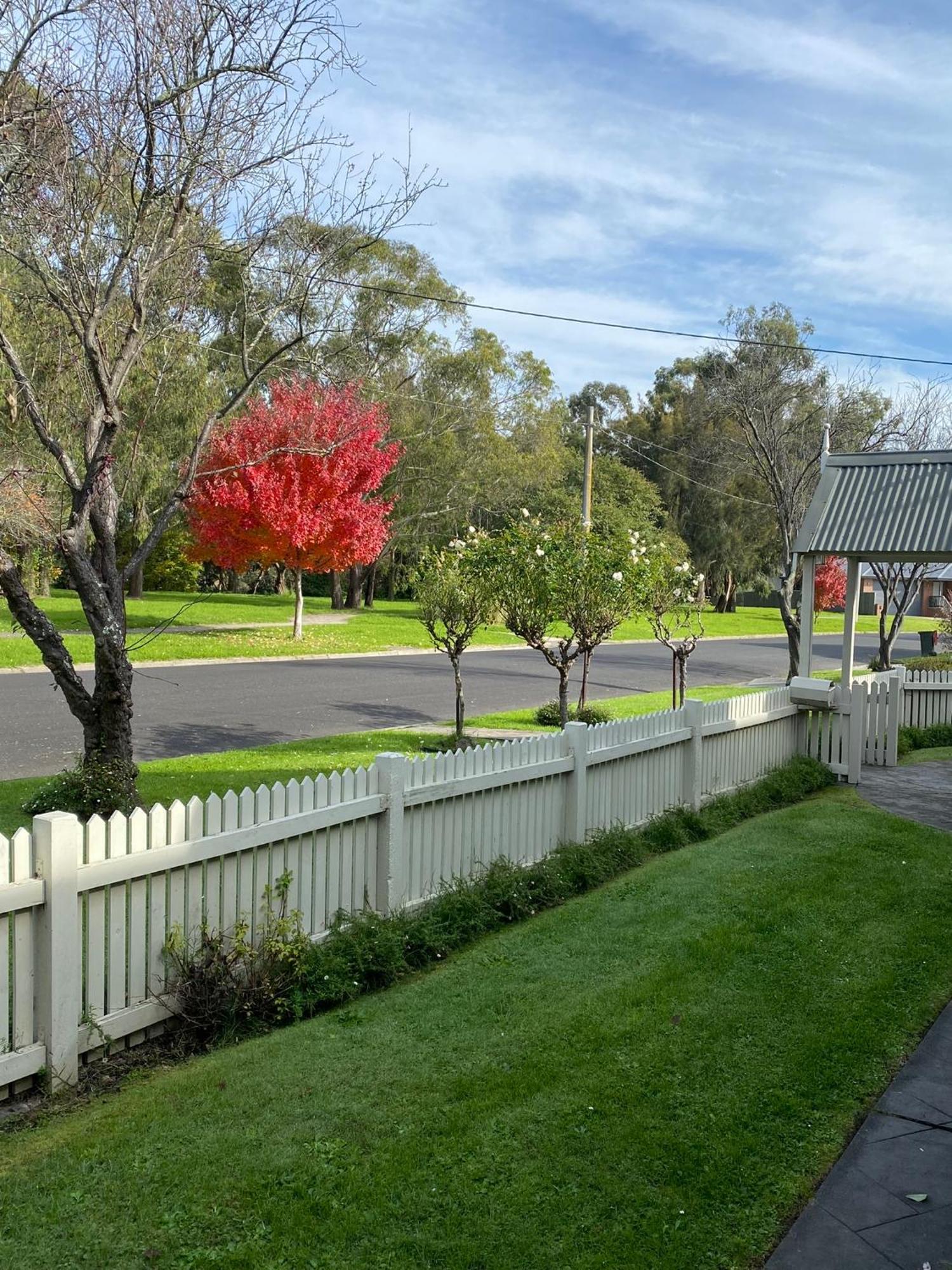Creek Cottage Bed And Breakfast Traralgon Eksteriør bilde